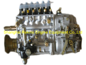 BP12S6 612601080580 Longbeng fuel injection pump for Weichai engine parts WD615 WD10