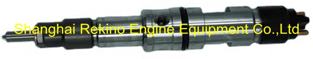 612630090012 0445120266 0445120127 Fuel injector Weichai engine parts for WD12 WP12