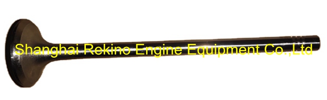 612630050002 Exhaust valve Weichai WP13 engine parts