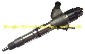 0445120224 612600080618 Weichai fuel injector for WP10 engine parts
