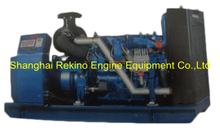 Weichai 250KW 313KVA 50HZ CCFJ250Y-W marine emergency diesel generator genset