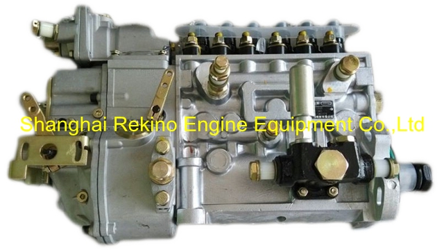 BP20U2 612600082646 Longbeng fuel injection pump for Weichai engine parts WD10C312-18 WD10