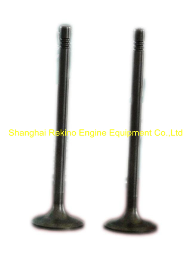 Intake valve 610800050049 for Weichai WP7 engine parts