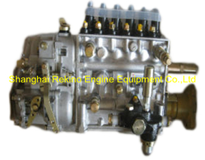 BP2070 612601080380 LONGBENG fuel injection pump for Weichai WP10.270NE31