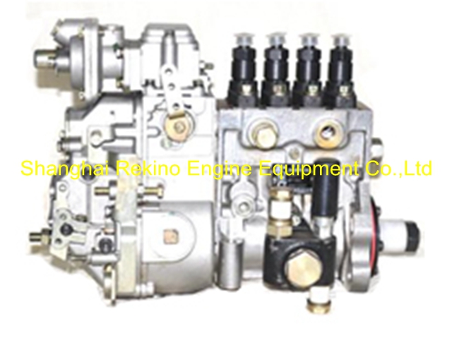 BP13B2 13034114 Longbeng fuel injection pump for Weichai WP4D66E200
