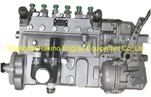 13021363 10402376075 BYC fuel injection pump for TBD226B-6 (WP6D)