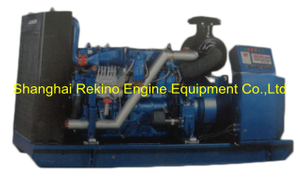 Weichai 250KW 313KVA 60HZ CCFJ250Y-W marine emergency diesel generator genset