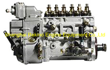 BP5120 612600081086 LONGBENG fuel injection pump for Weichai WD618