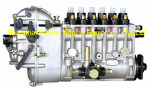 BP6007 617023030001 Longbeng fuel injection pump for Weichai X6170C