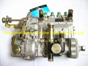 13023251 10401014063 BYC fuel injection pump for Weichai TD226B-4D (WP4D)
