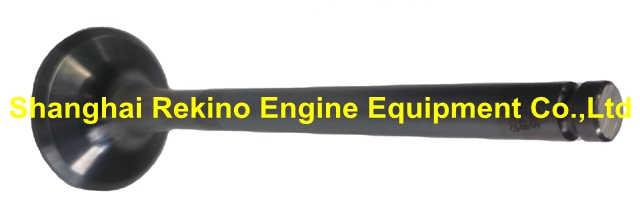 612600050073 Intake valve Weichai engine parts for WD618 WD12
